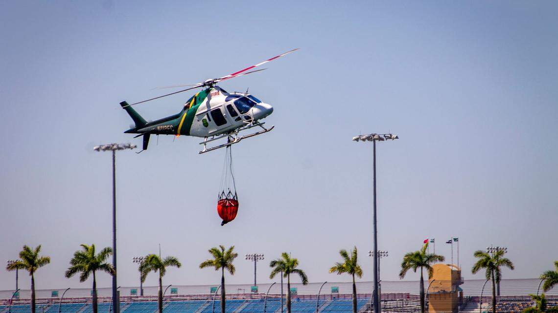 Conditions are ripe for a springtime of fires in South Florida, forest experts say
