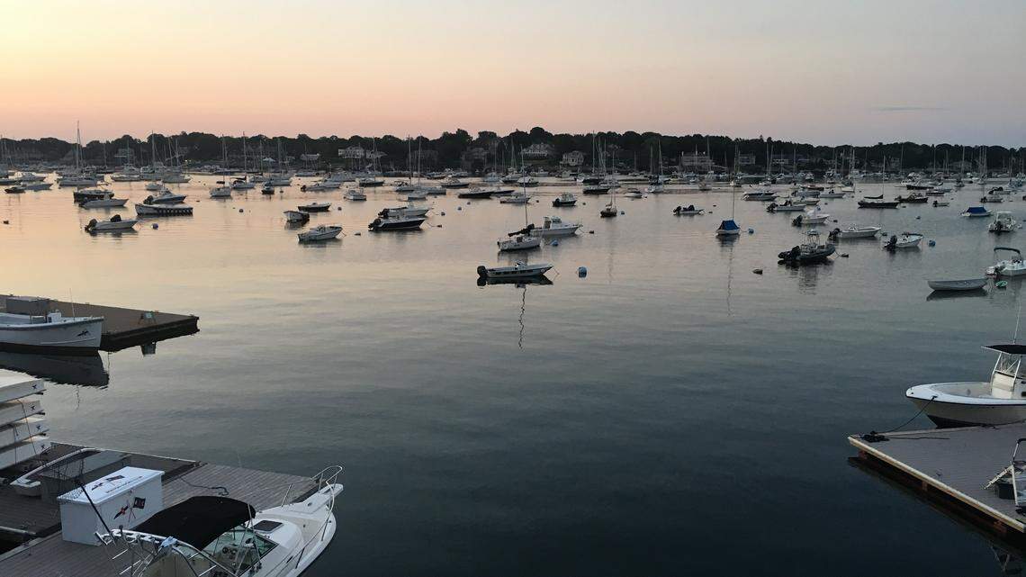 An aerial survey off the coast of New England discovered a female North Atlantic right whale that was believed to have died three years ago, the New England Aquarium reports.