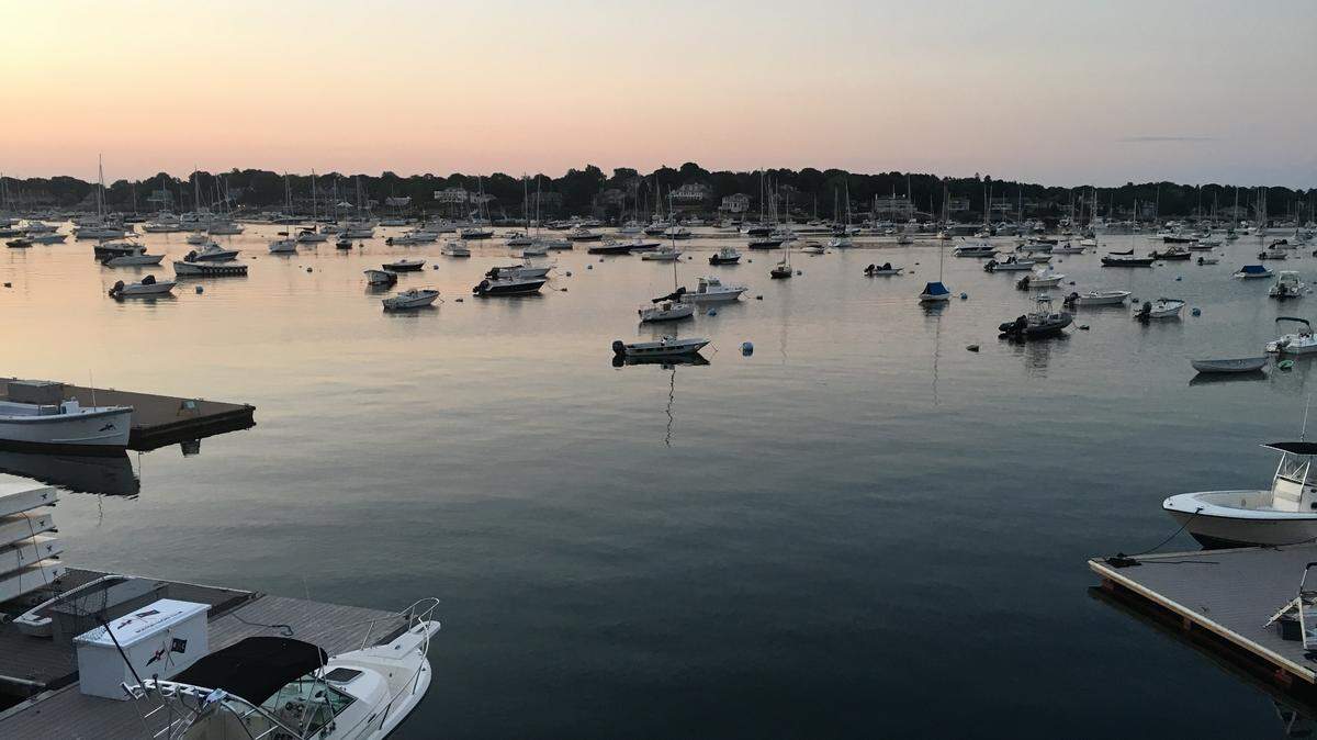 An aerial survey off the coast of New England discovered a female North Atlantic right whale that was believed to have died three years ago, the New England Aquarium reports.