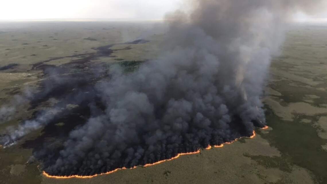 Drought, then came fire. Where does that leave the Everglades?