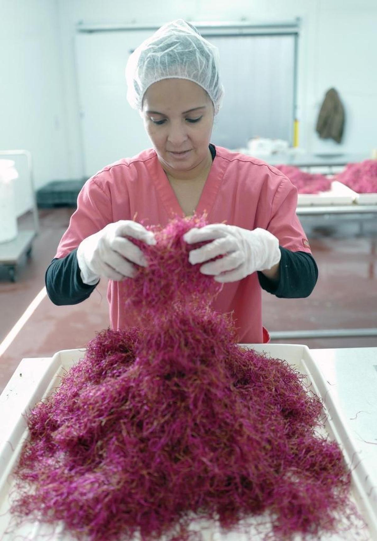 Fullei Fresh has about 60 employees, including Karla Calero, shown sorting some produce.