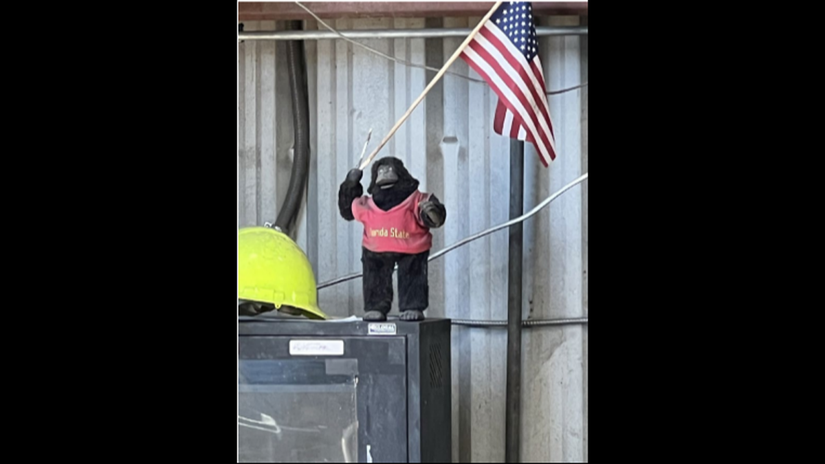 The stuffed gorilla holding a U.S. flag was left near Fednol Pierre’s workspace at Waste Pro of Florida’s Jacksonville facility.