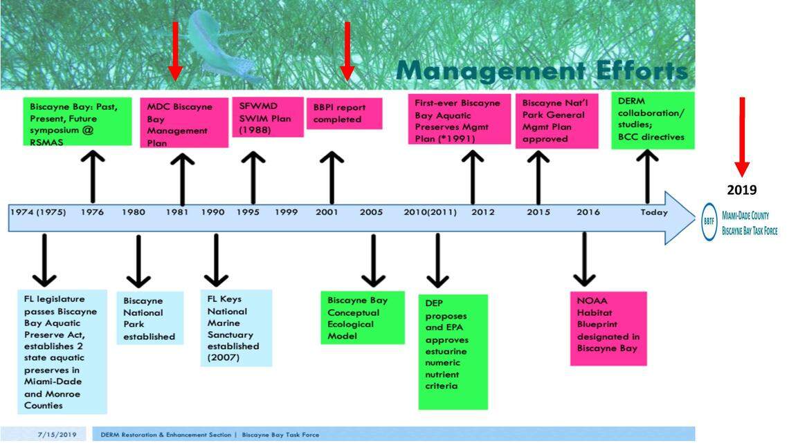 Since the 1970s, several efforts -- from multi-agency studies to a national park management plan -- have focused on identifying the issues affecting the health of Biscayne Bay and designing solutions.
