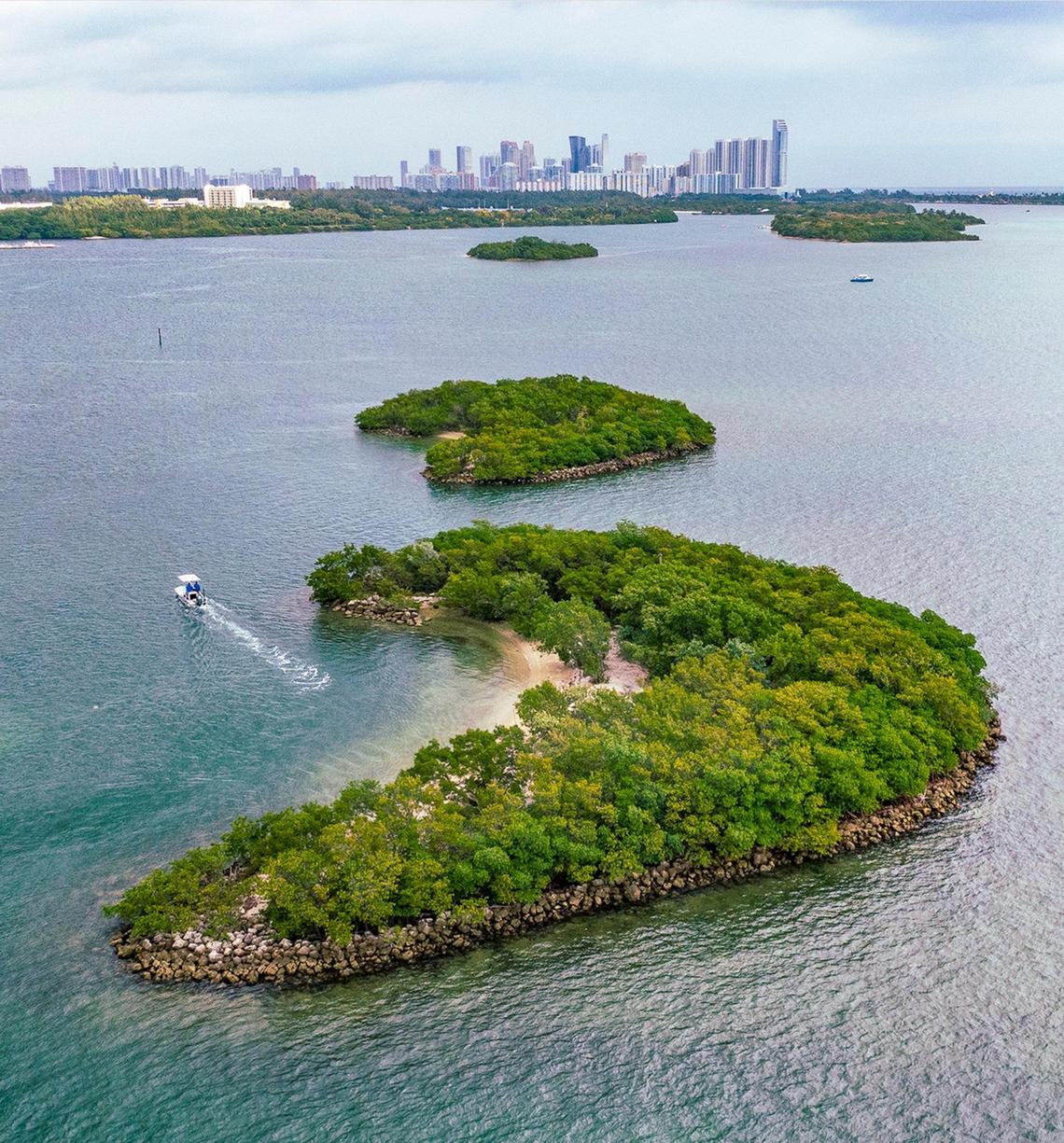 The Crescent Island A, front, and Crescent Island B, part of the county’s former living shorelines projects on Biscayne Bay.