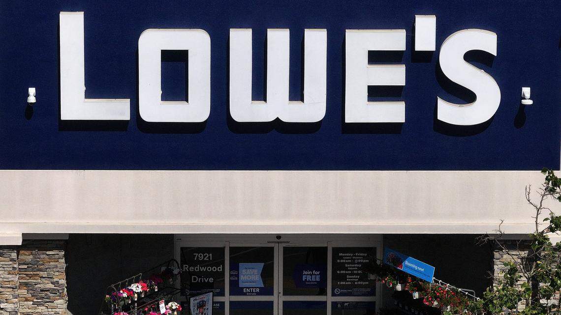 lowe’s home improvement store newborn kittens rescue