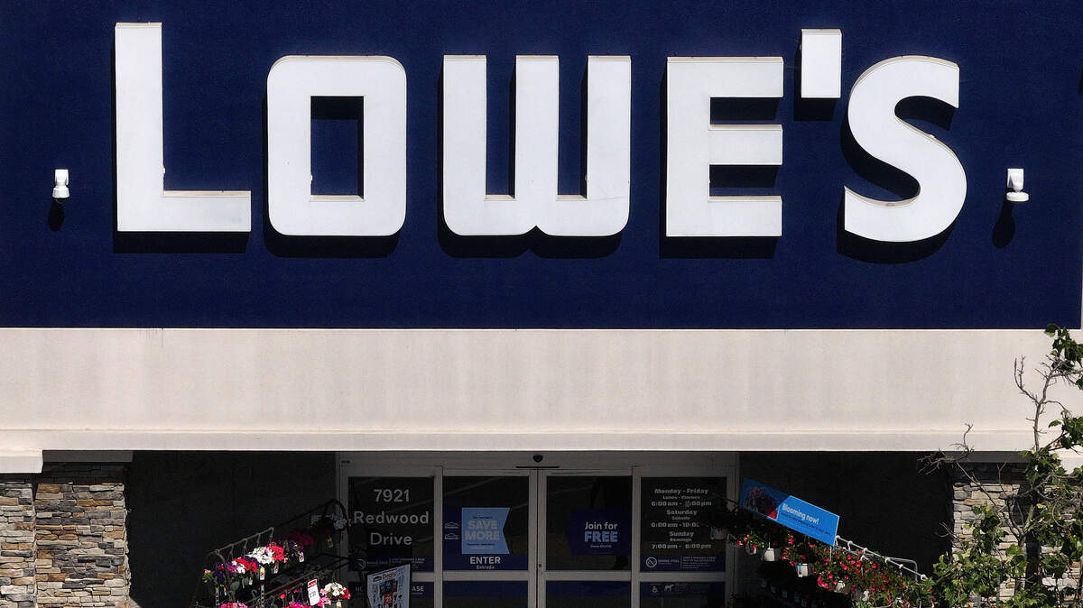 lowe’s home improvement store newborn kittens rescue
