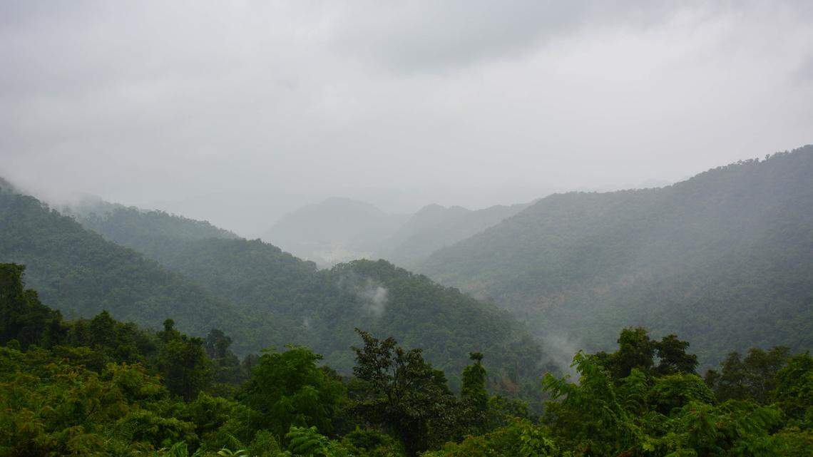 Scientists discover a new species of “dancing” creature in Phu Pha Lom forest. Photo shows representative area of Thailand.