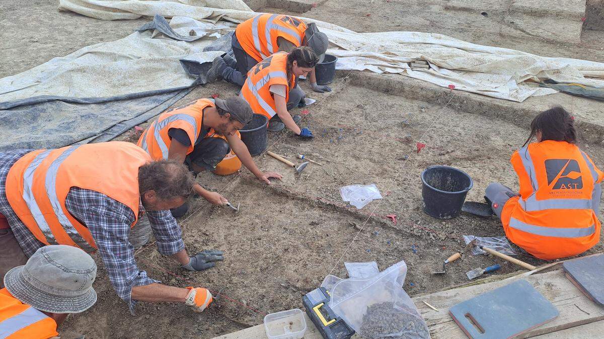 Archaeologists found ancient remains left by cave bears and humans in a cave in Germany, officials said.