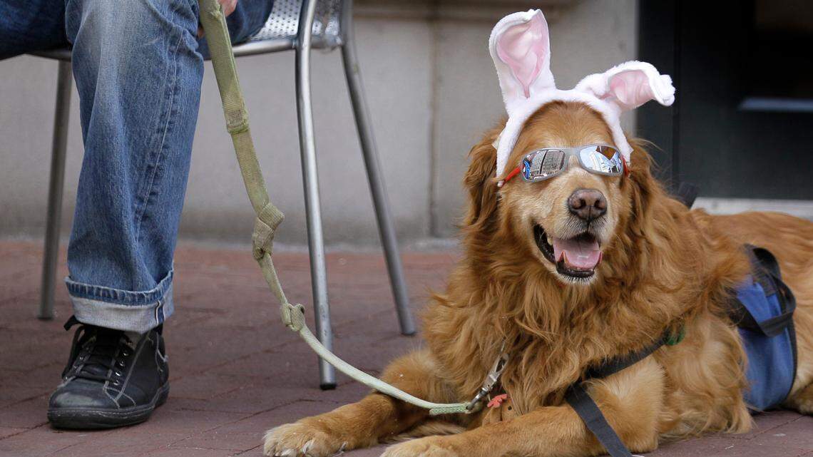 Will these holiday decorations be in your home this Easter weekend? (AP Photo/Amy Sancetta)