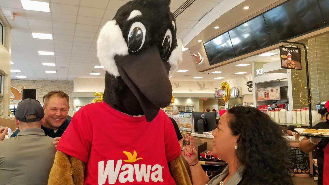 Mascota de Wawa llamada “Goose”.