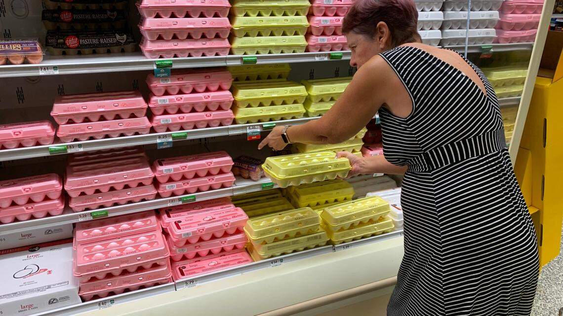 Mayra Odio came to a Kendall Publix to shop for eggs for her parents. She left without buying a carton. The prices, she said. ‘It’s outrageous.’ Prices for eggs have soared nationwide driven by several factors, including a deadly outbreak of avian influenza, according to the USDA.