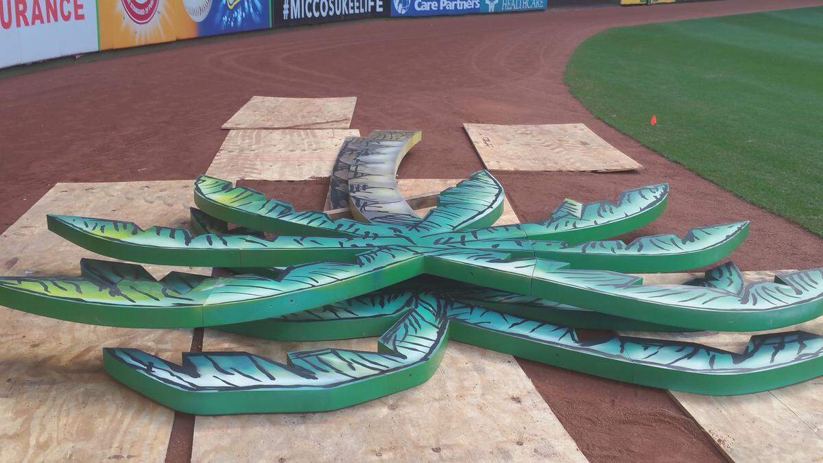 Palm trees that flanked “Homer,” the seven-story home run sculpture commissioned for Marlins Park’s 2012 opening, after being removed from the county-owned artwork that is being dismantled and moved outside the stadium.