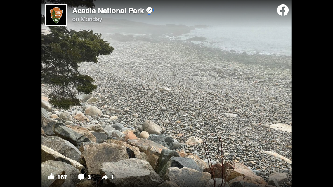 Can you spot a seal pup hiding in this photo shared by Acadia National Park in Maine? You’ll need to look close.