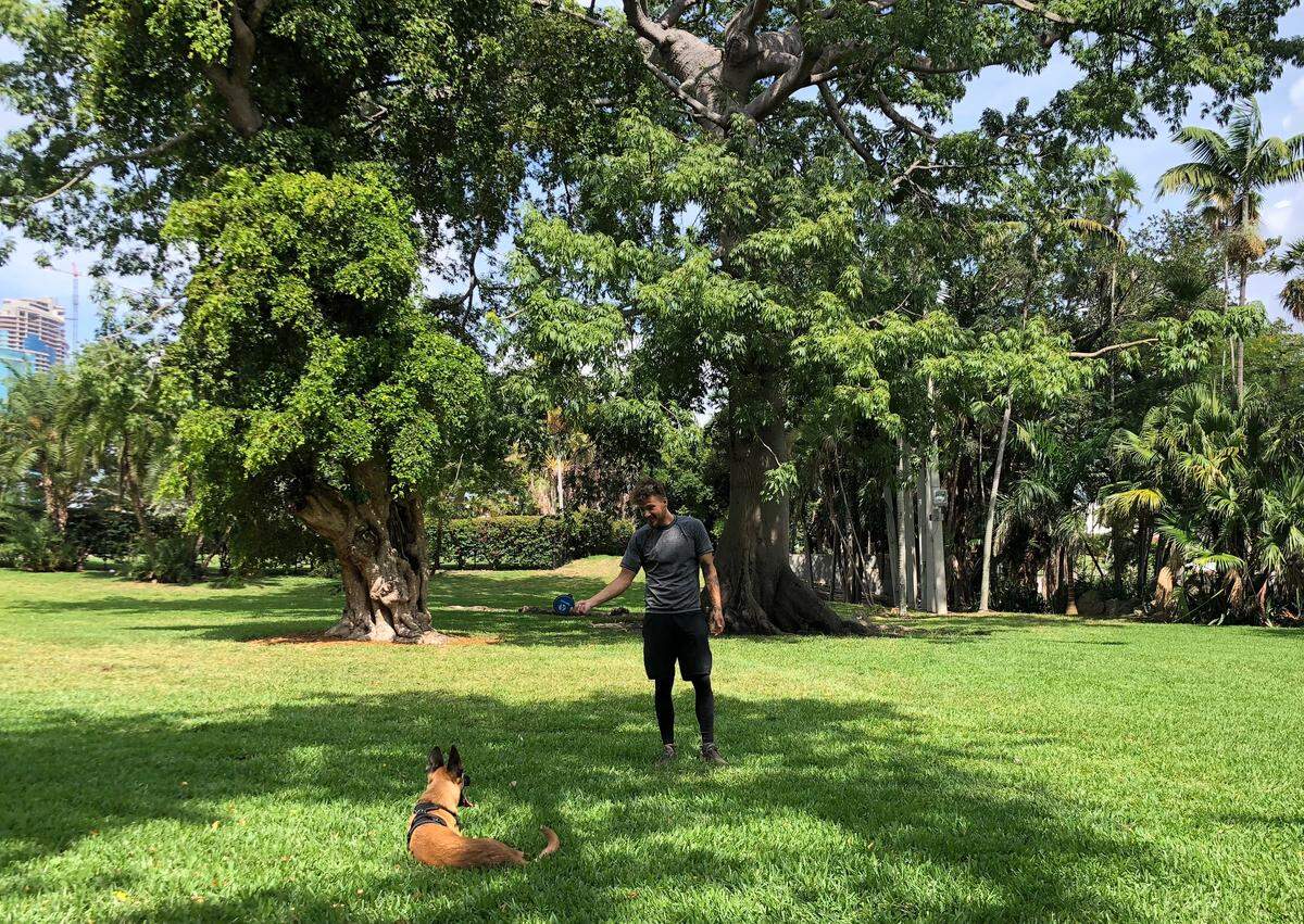 Downtown Miami resident Dan Phalen, 29, takes his puppy Nike to Bayfront Park most afternoons.