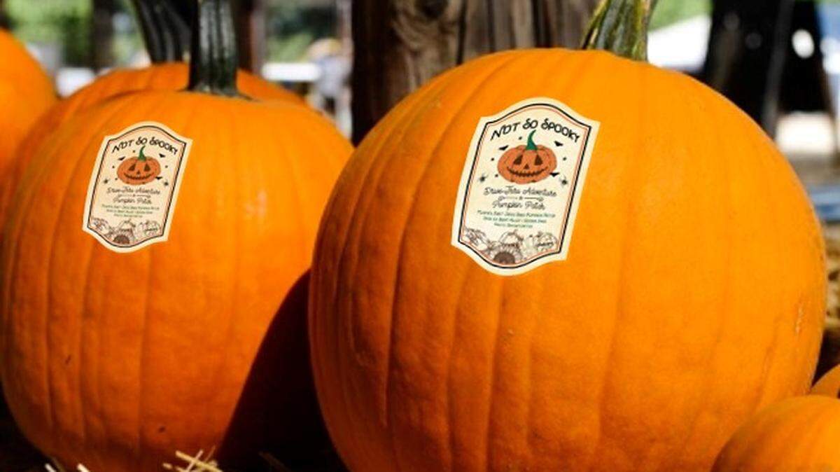 There are several family-friendly Halloween events around Miramar leading up to the Oct. 31 holiday. 