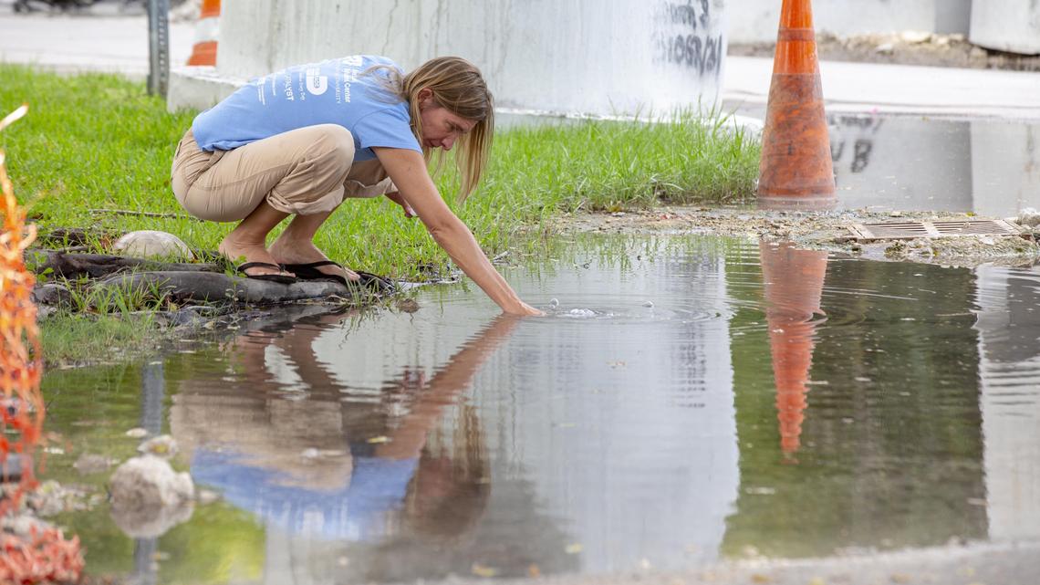 FIU Associate Director of Science Doctor Tiffany Troxler collects samples from the flood waters to test for a variety of factors during the King Tide on citizens’ Sea Level Solution day where scientists and citizens go around measuring the high tides around the city, off West Fairview street in Coconut Grove, Florida on Sunday, September 29, 2019.