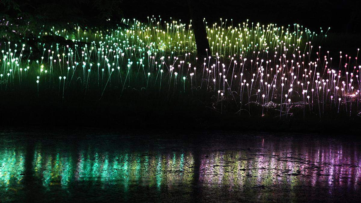 The light installation “Longwood” was created by British artist Bruce Munro, whose work will be displayed at Pinecrest Gardens.