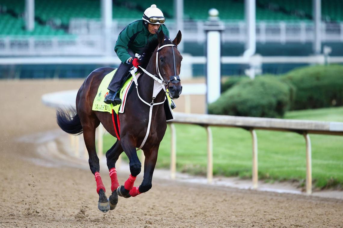 Majesto, the horse owned by the Ceballos family, is shown training on the track for the Kentucky Derby at Churchill Downs on May 05, 2016, in Louisville, Kentucky.