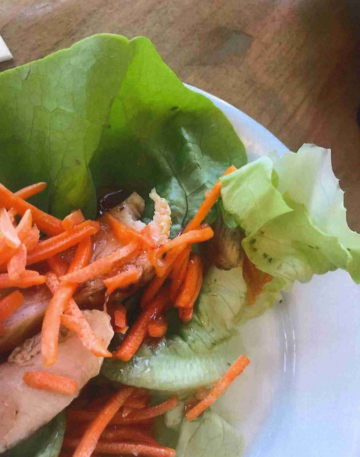 The lawsuit between four Broward County residents and Disney World includes photos that show insects on lettuce.