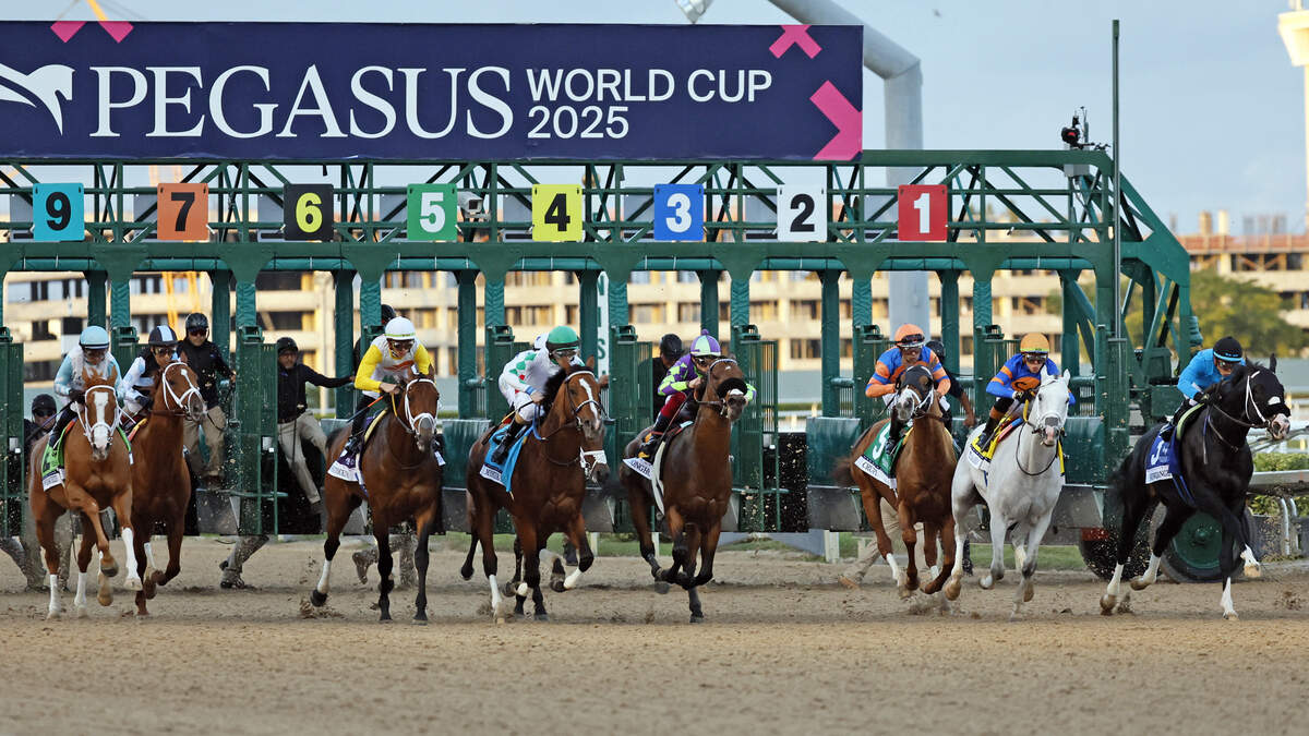 They are out of the gates for the start of the 9th Running of the Pegasus World Cup Invitational at Gulfstream Park in Hallandale Beach, Florida on Saturday, January 25, 2025.