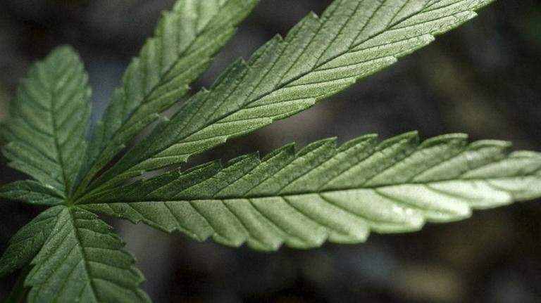 Can you fly with medical marijuana in Texas? What TSA’s policy actually says