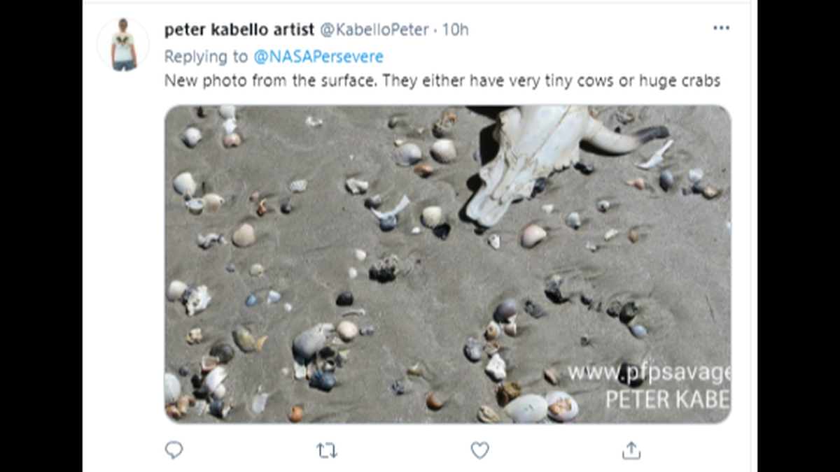 Twitter screenshot