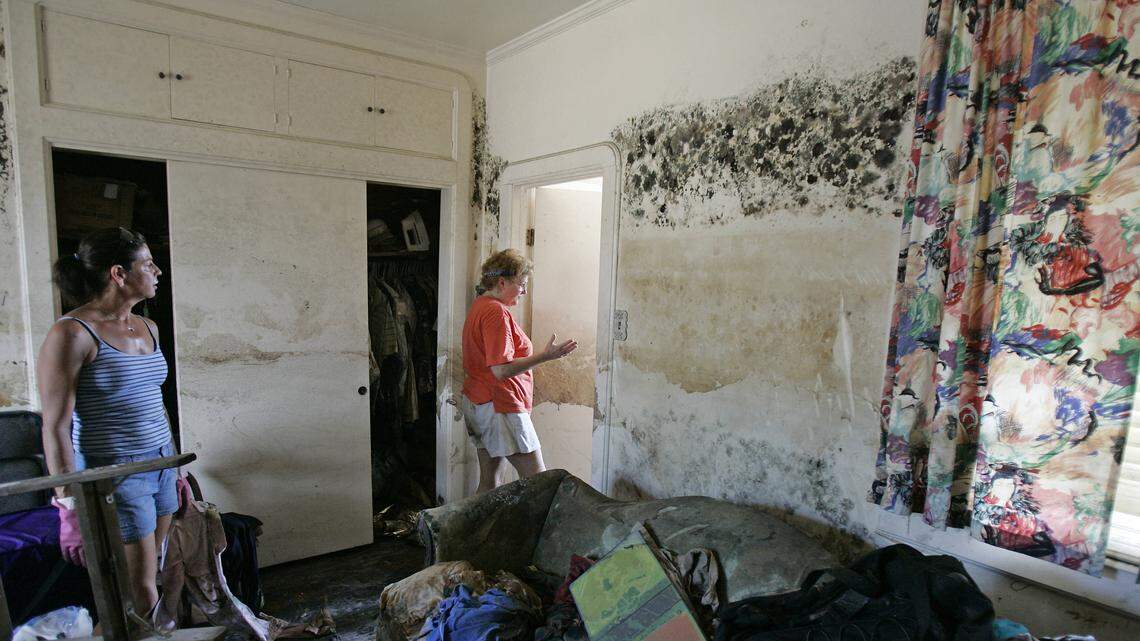 Mold Could Be Spreading Through Your Home Right Now Without Knowing It. Here’s How to Tell