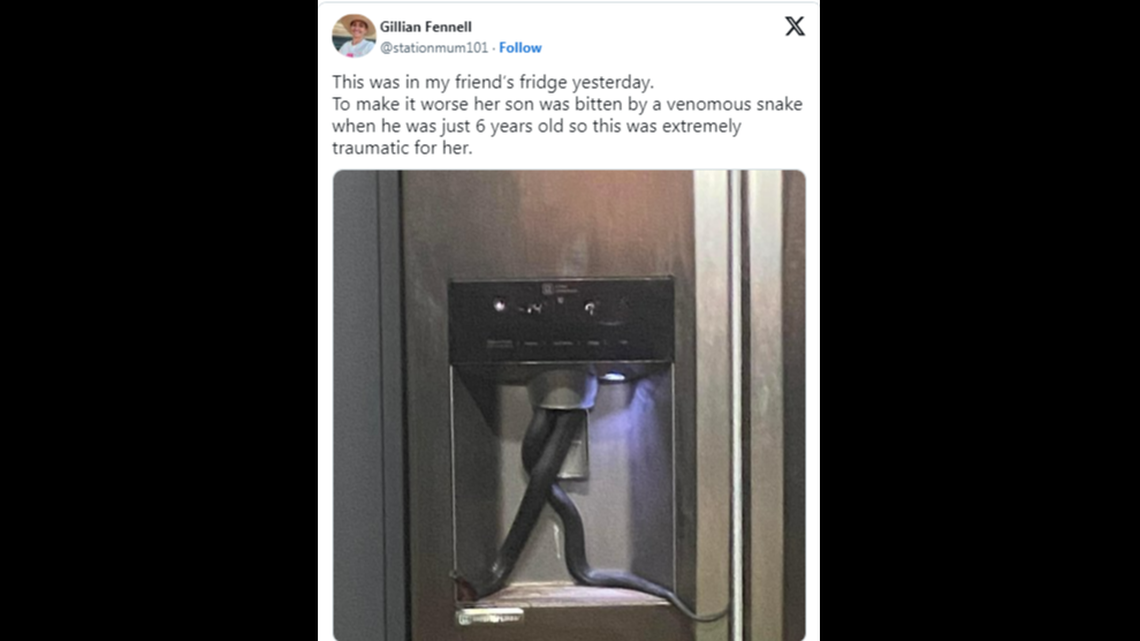 A hissing family cat is credited with alerting the owner to the venomous snake, a friend reported.