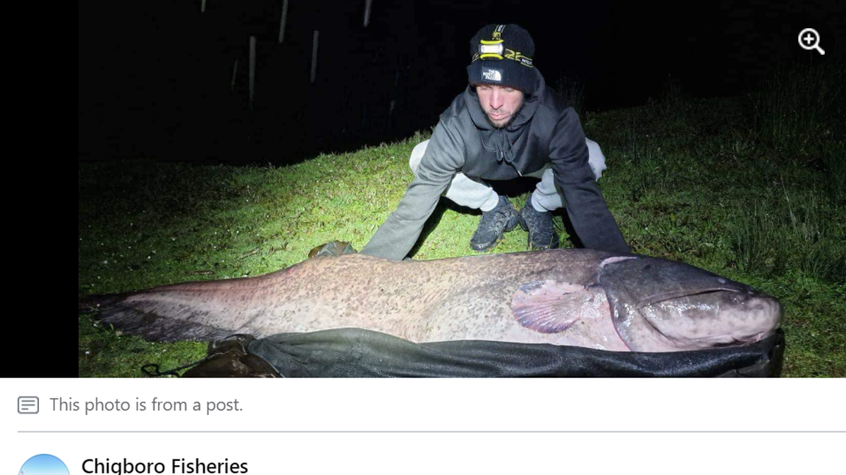 The 34-year-old sanitation worker hadn’t had a bite all day before he landed a potential national record in the UK, he told news outlets.
