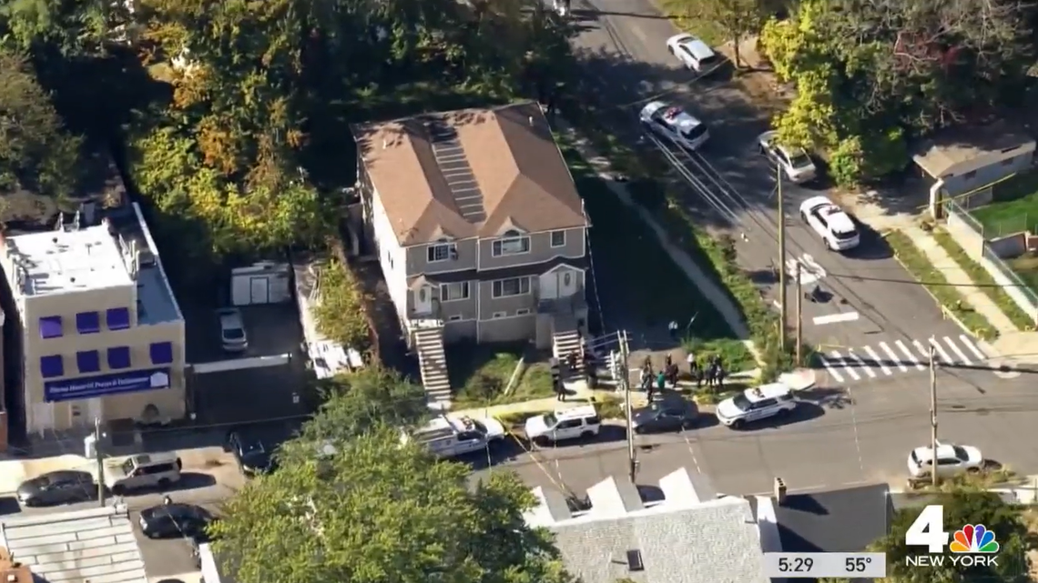 A pack of dogs escaped from a home in Staten Island, New York, and attacked several people, including a toddler, according to police.