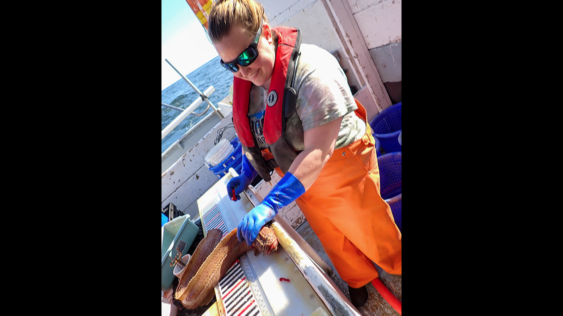 Emma Fowler “gently holds a wily wrymouth behind the head” as she tries to measure its length. Most average about 3 feet.