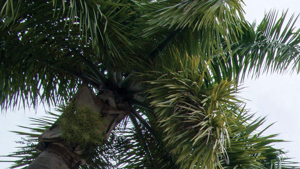 All six of the local hospitals in the Jackson Health System were recognized as Leaders in LGBT Healthcare Equality in the Human Rights Campaign’s annual Healthcare Equality Index (HEI) for the 5th year in a row. In 2014, nine of the 26 facilities recognized throughout Florida were part of Jackson Health System.