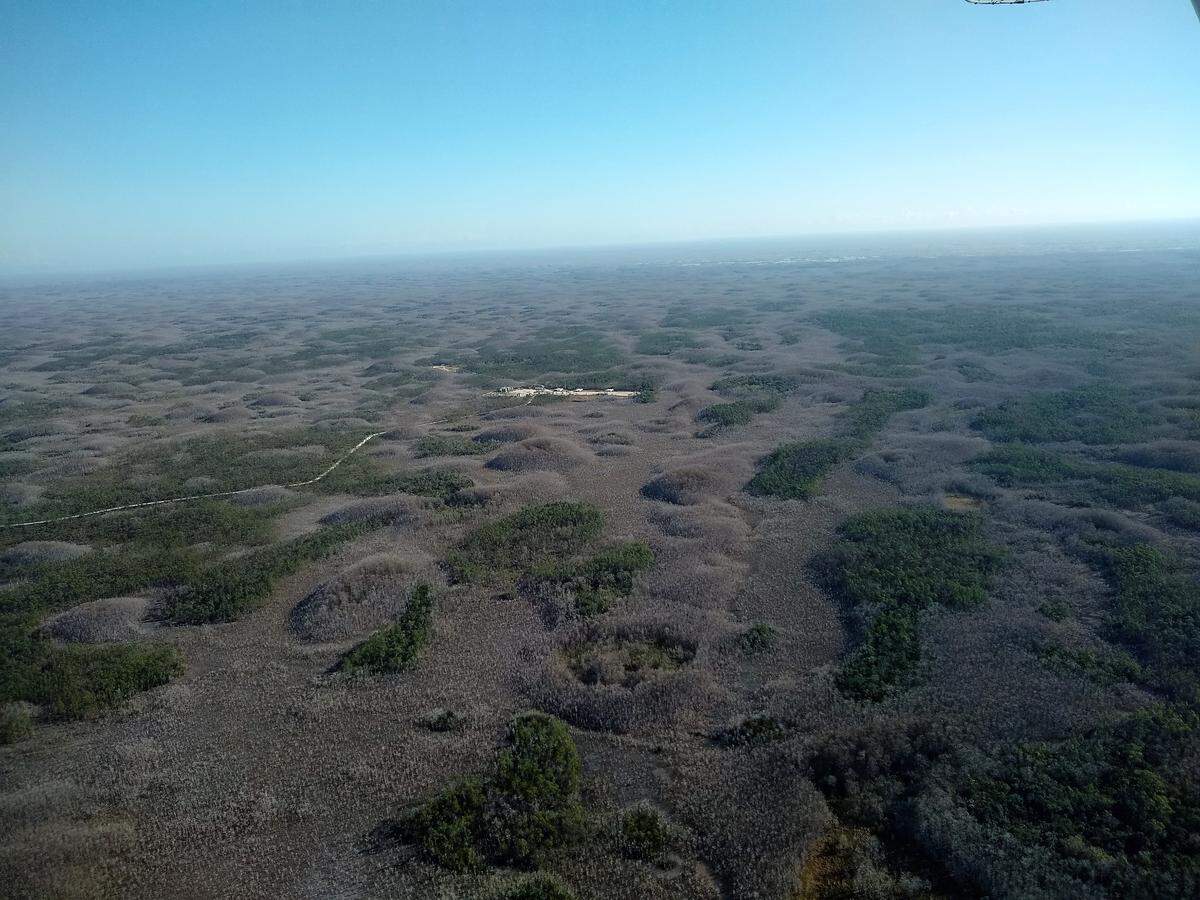 Even if new drilling in Big Cypress is limited to a single well pad, environmentalists say the risks to water resources would still be significant.