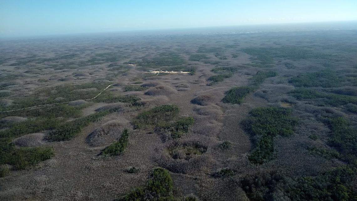 Florida Cabinet OKs $141 million in conservation land buys from Panhandle to SW coast