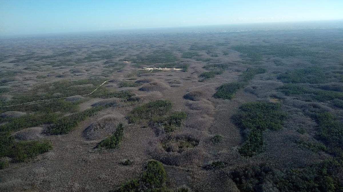 The most expensive deal involves spending $77.6 million in Florida Forever money to buy 17,229 acres from Alico, Inc. in Hendry County as part of what is known as the Devil’s Garden Florida Forever project. Water flows from the Devil’s Garden area into the Big Cypress National Preserve, shown here.