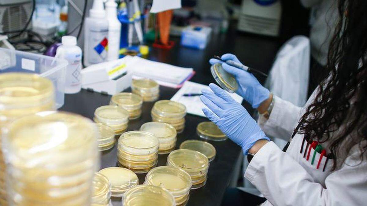 A researcher works in a lab that is developing testing for the COVID-19 coronavirus in Nutley, New Jersey.