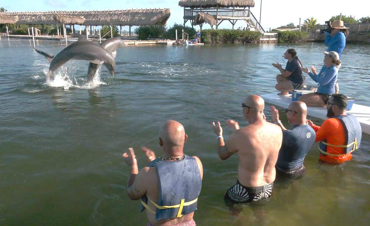 Retired military veterans applaud dolphin behaviors Thursday, Oct. 14, 2021, at Dolphin Research Center in Marathon, Fla.The vets participated in a Wounded Warrior Project event called Rolling Project Odyssey designed as therapy for emotional and mental rehabilitation for those suffering from post-traumatic stress disorder. The five-day event through the Keys, that included the interaction session with marine mammals at Dolphin Research Center on Thursday. (Steve Panariello/Florida Keys News Bureau/HO)
