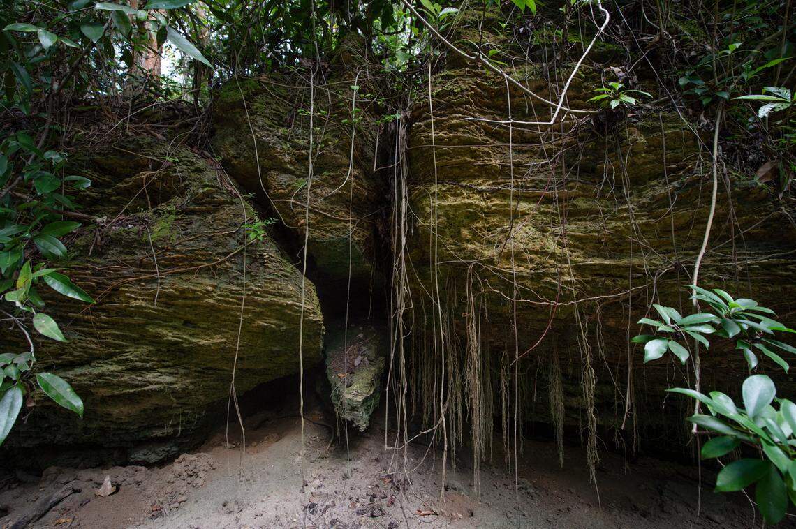 Sand lines the bottom of a deep hole carved into exposed limestone rock, surrounded by pine trees.