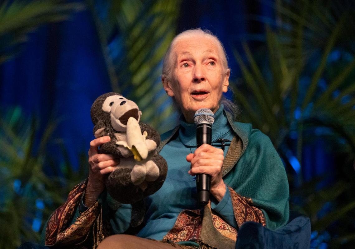 Dr. Jane Goodall speaks during ‘An Evening With Jane Goodall: Inspiring Hope Through Action’ at Florida International University’s Ocean Bank Convocation Center on Friday, March 31, 2023, in Miami, Fla.