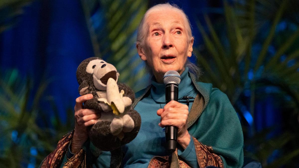 Dr. Jane Goodall speaks during ‘An Evening With Jane Goodall: Inspiring Hope Through Action’ at Florida International University’s Ocean Bank Convocation Center on Friday, March 31, 2023, in Miami, Fla.