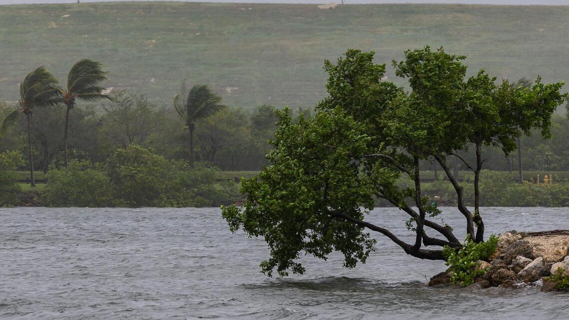 Se forma la tormenta tropical Sally y siguen los copiosos aguaceros en el sur de la Florida