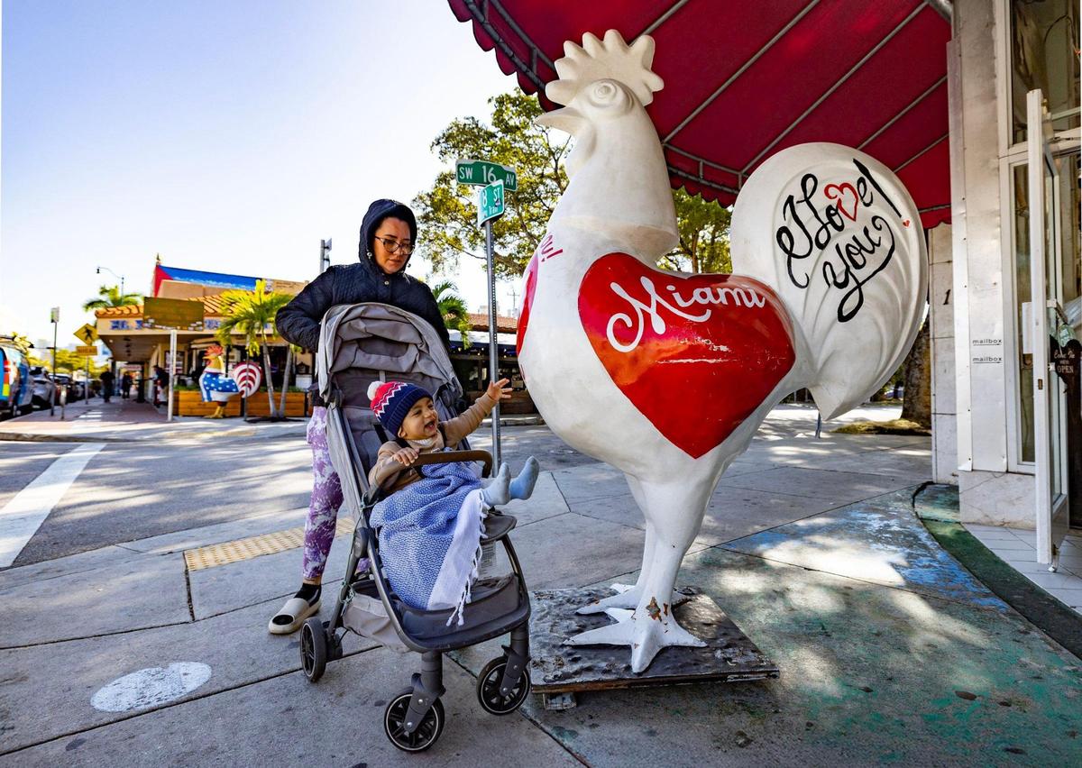 Liam, 1, reaches for the Miami rooster on display in Little Havana while his babysitter Melissa Santos pushes his baby carriage along Calle Ocho as the coldest air of the season arrives in South Florida on Wednesday morning in Miami, Jan. 8, 2025.