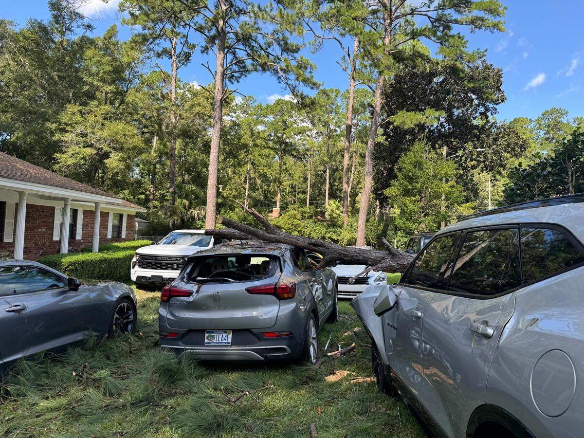 Tallahassee resident Antonio Gonzalez said he heard a massive boom as Hurricane Helen struck that turned out to be the sound of a pine tree collapsing and crushing two vehicles parked in the front yard of the house.