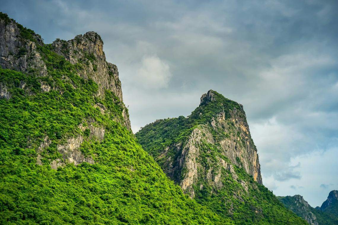 In the rocks and caves of Thailand, a “grass green” creature waits in ambush for small critters to cross its path.
