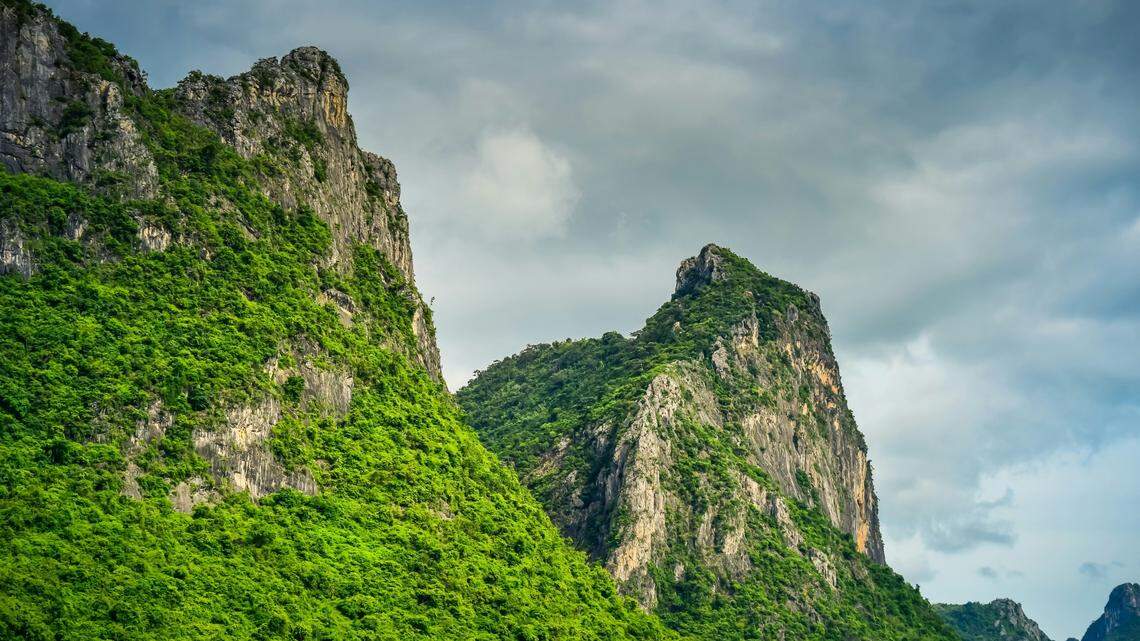 In the rocks and caves of Thailand, a “grass green” creature waits in ambush for small critters to cross its path.