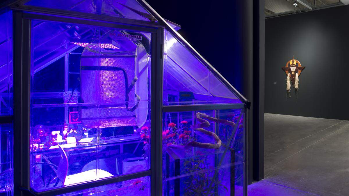 Franky Cruz’s 1994 “Vivarium Meconium Lab” incorporates a greenhouse with grow lights, automatic water dispenser and plants. Part of the show “Monarchs: Brown and Native Contemporary Artists in the Path of the Butterfly” at the Museum of Contemporary Art  in North Miami through Aug. 5.