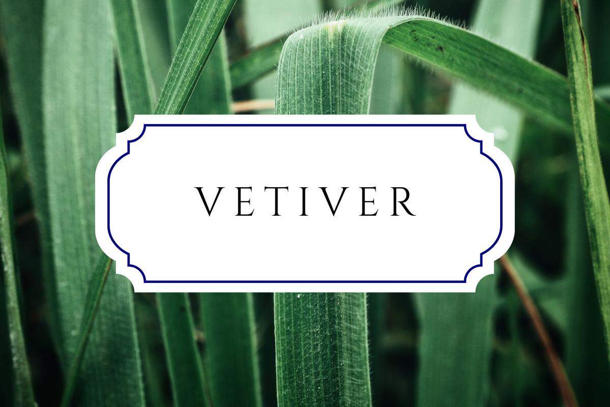 botanical baby names vetiver