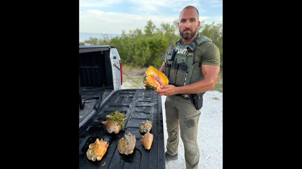 Oklahoma man jailed in Keys a reminder: It’s illegal to catch conchs in Florida