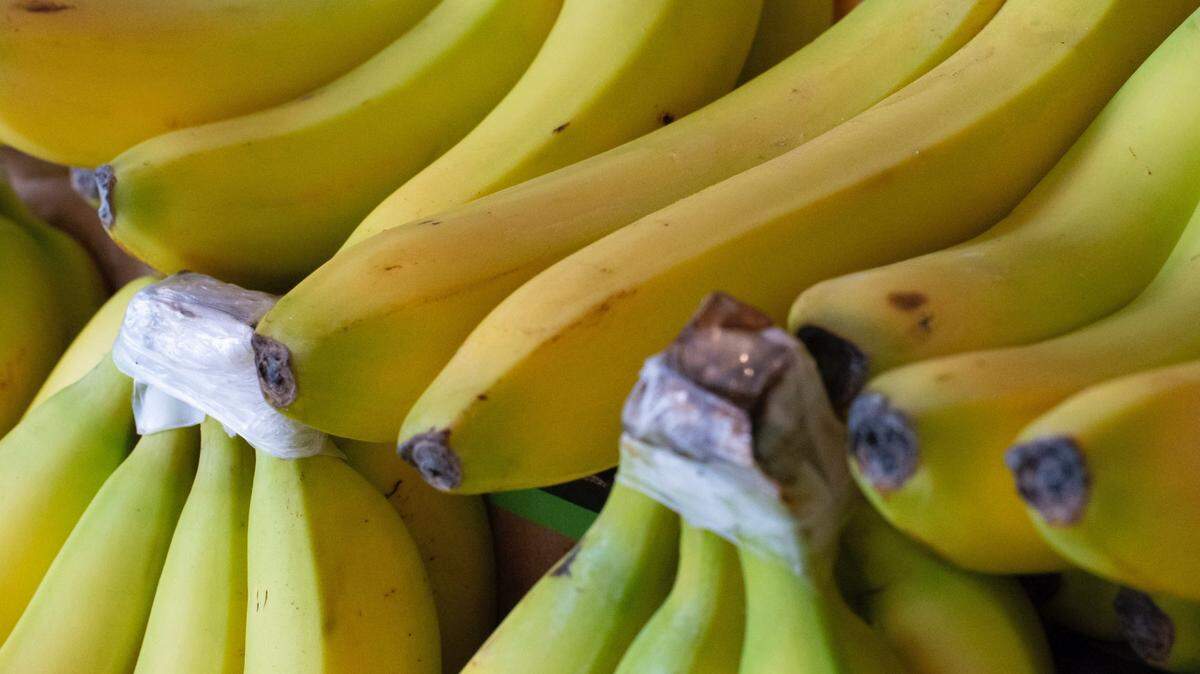 The creature could have given a student a hard sting — but cafeteria staff found it hiding first.