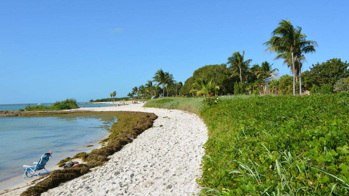 Sombrero Beach, en Marathon, en los Cayos, fue nombrada una de las 25 mejores playas del país por Tripadvisor.